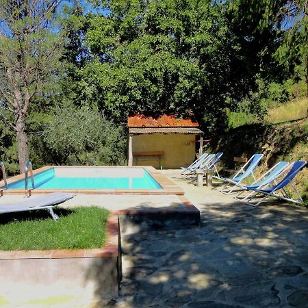 Belvilla By Oyo Flat In Farmhouse With Pool Pian di Scò Eksteriør bilde